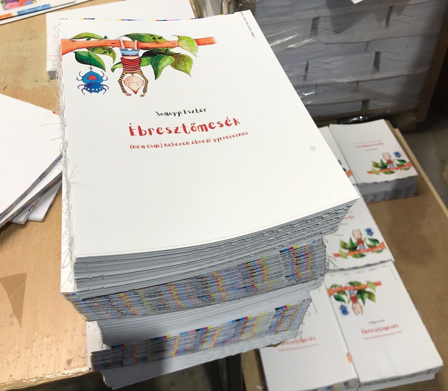 A nyomdai munkák izgalmas részletei