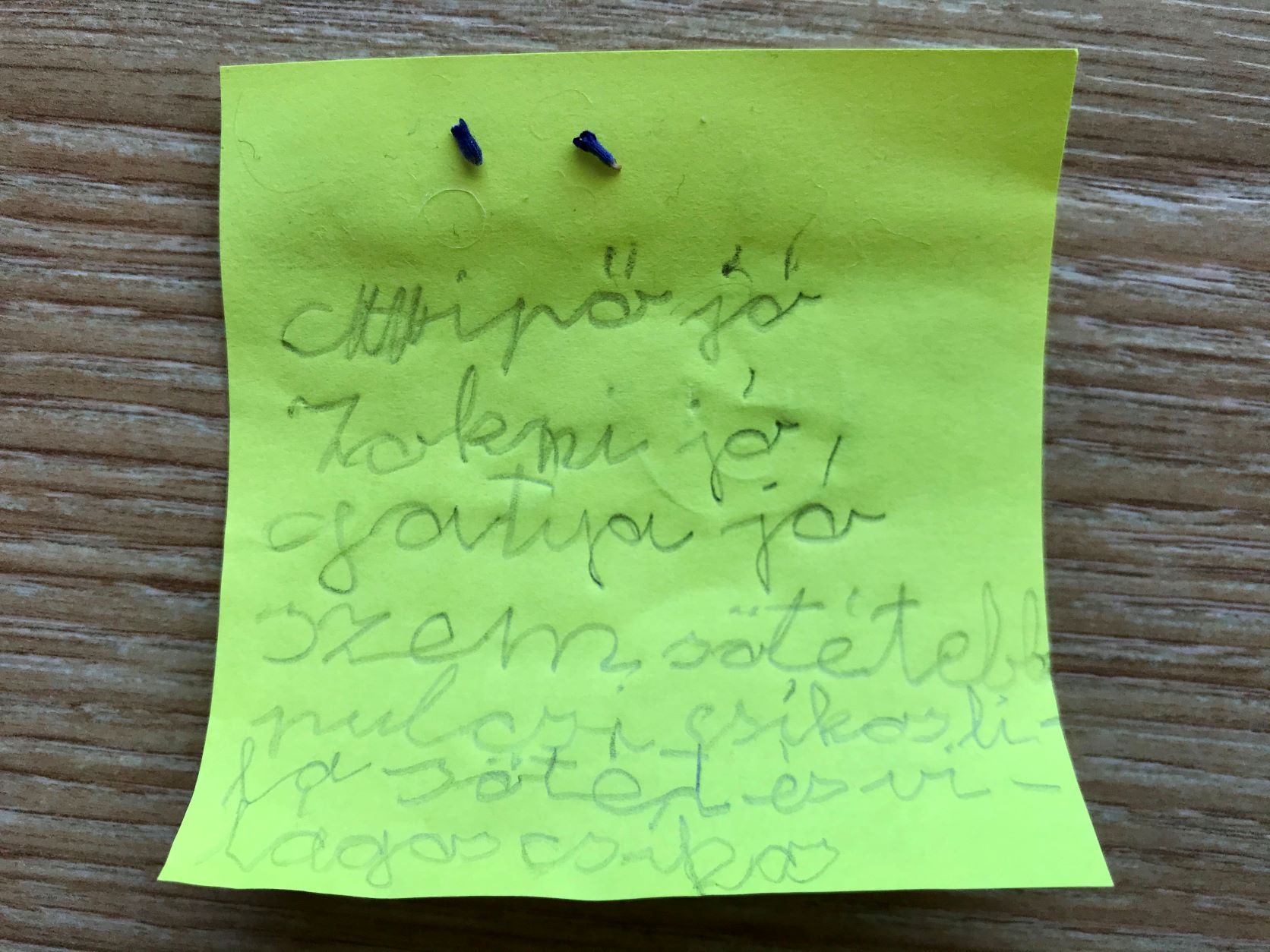 Milyen legyen Mimó?